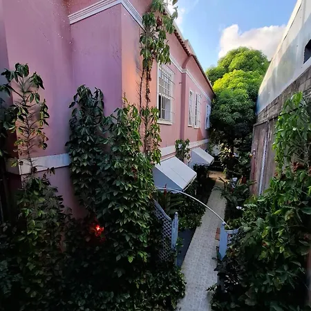 Linda Casa, Super Espacosa E Charmosa No Coracao De Botafogo
